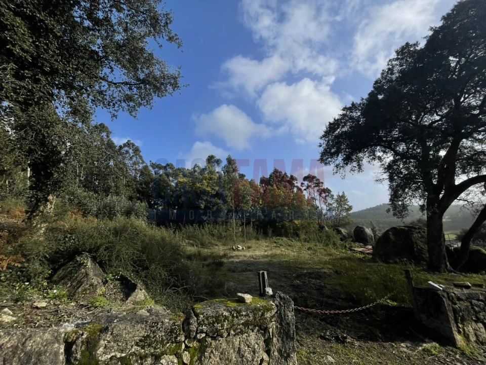 Terreno para Venda em Viatodos, Grimancelos, Minhotães, Monte Fralães Foto 20