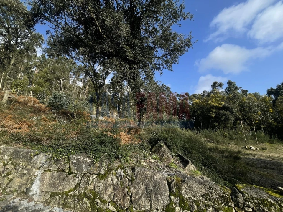 Terreno para Venda em Viatodos, Grimancelos, Minhotães, Monte Fralães Foto 21