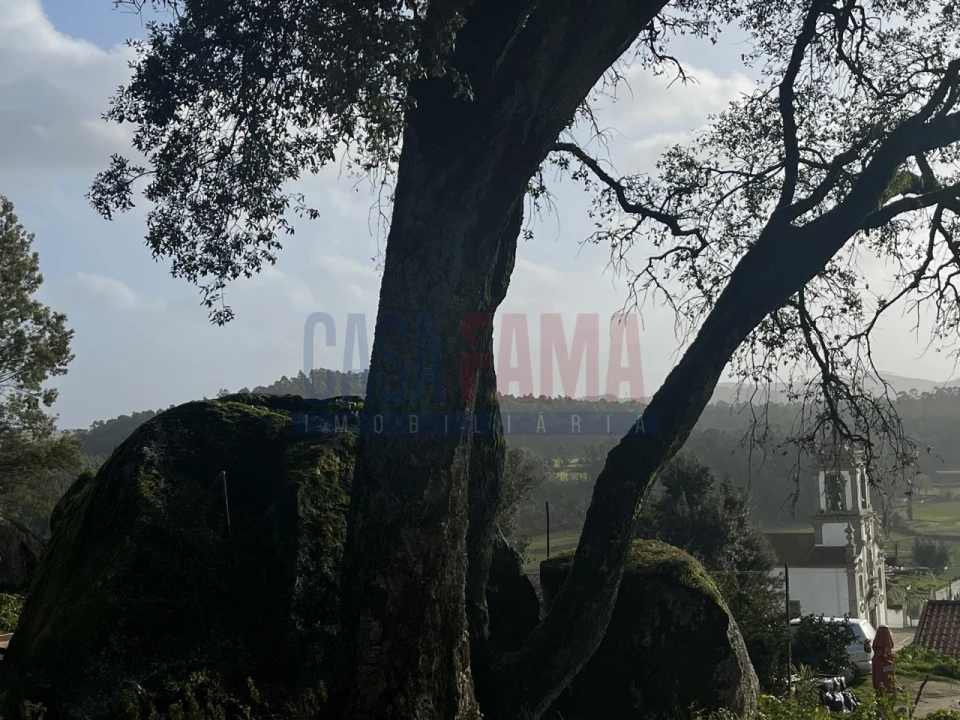 Terreno para Venda em Viatodos, Grimancelos, Minhotães, Monte Fralães Foto 23