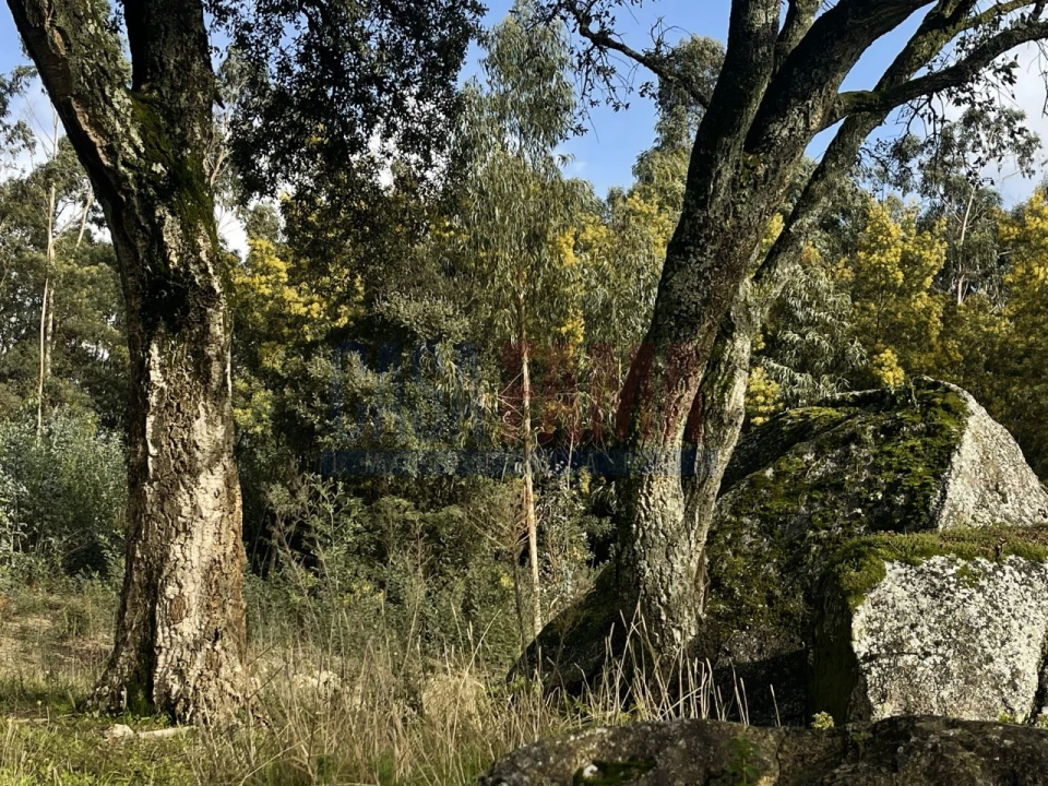 Terreno para Venda em Viatodos, Grimancelos, Minhotães, Monte Fralães Foto 24