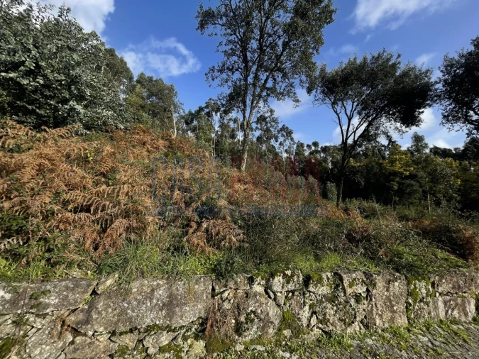 Terreno para Venda em Viatodos, Grimancelos, Minhotães, Monte Fralães Foto 3