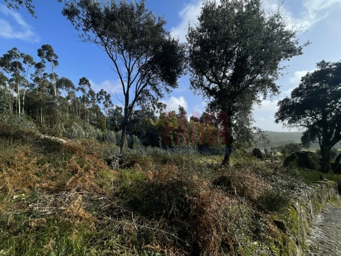 Terreno para Venda em Viatodos, Grimancelos, Minhotães, Monte Fralães Foto 4