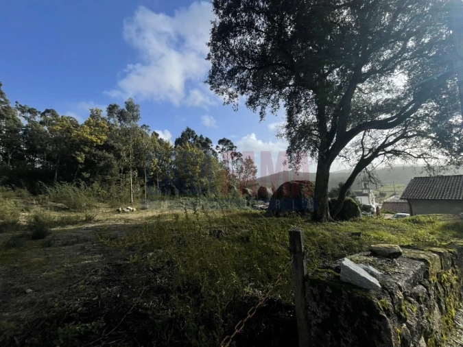 Terreno para Venda em Viatodos, Grimancelos, Minhotães, Monte Fralães Foto 9