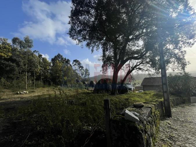 Terreno para Venda em Viatodos, Grimancelos, Minhotães, Monte Fralães Foto 10
