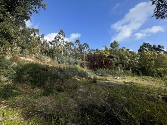 Terreno para Venda em Viatodos, Grimancelos, Minhotães, Monte Fralães Foto 11