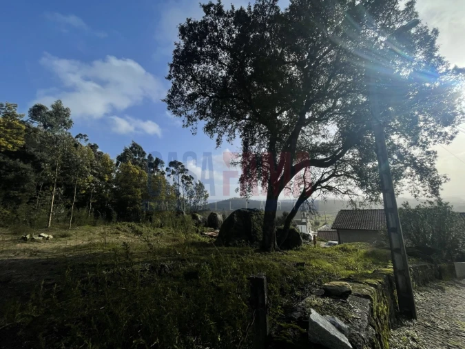 Terreno para Venda em Viatodos, Grimancelos, Minhotães, Monte Fralães Foto 12