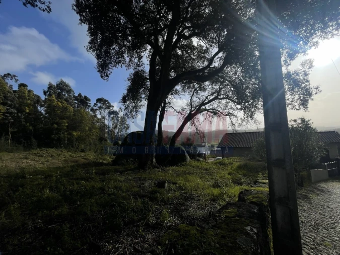 Terreno para Venda em Viatodos, Grimancelos, Minhotães, Monte Fralães Foto 15