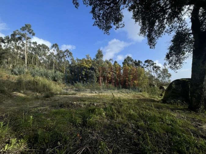 Terreno para Venda em Viatodos, Grimancelos, Minhotães, Monte Fralães Foto 16