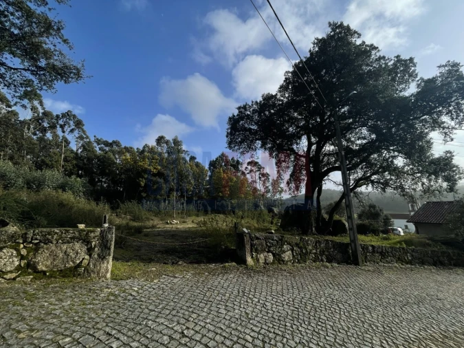 Terreno para Venda em Viatodos, Grimancelos, Minhotães, Monte Fralães Foto 18