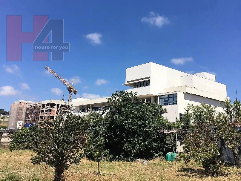 Terreno para Venda em Ajuda Foto 6