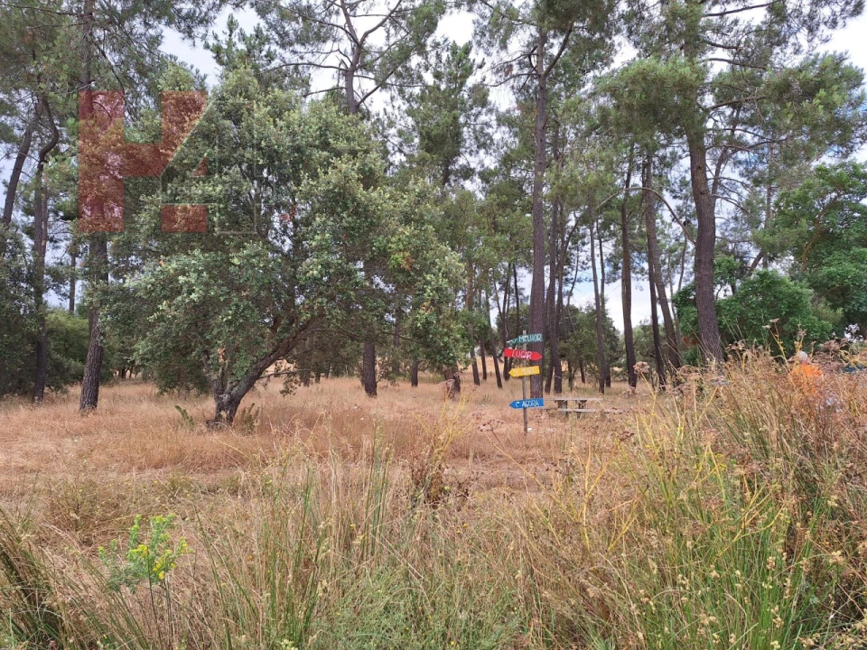 Moradia T3 para Venda em Benavila e Valongo Foto 23