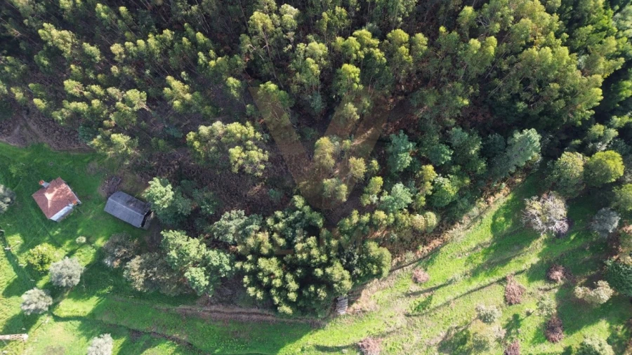 Terreno para Venda em Cabração e Moreira do Lima Foto 4