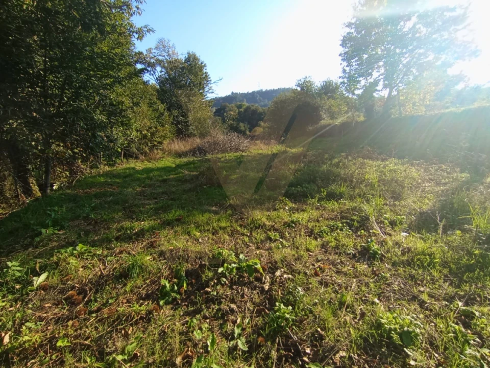 Moradia T3 para Venda em Rebordões (Souto) Foto 30