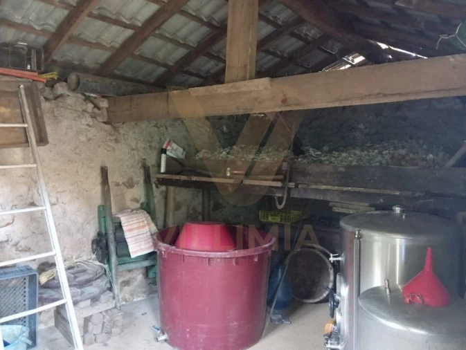 Moradia T3 para Venda em Rebordões (Souto) Foto 10