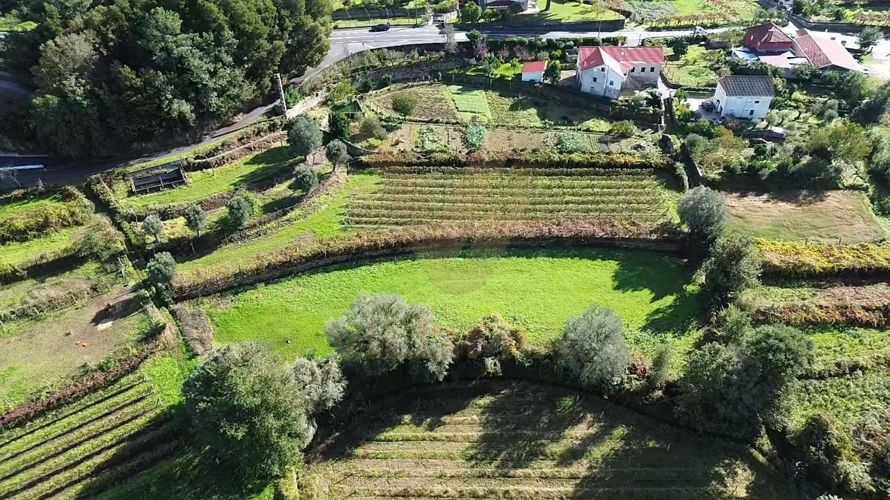 Terreno Agricola ou Rústico para Venda em Bárrio e Cepões Foto 4
