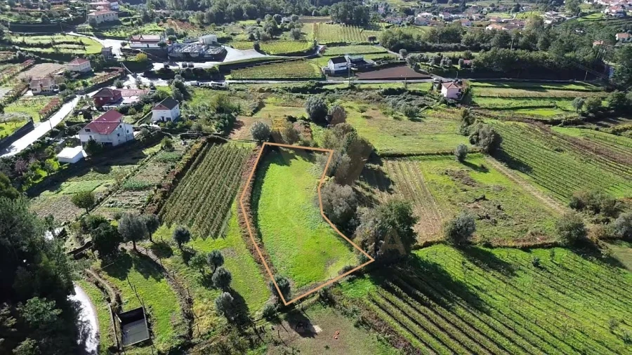 Terreno Agricola ou Rústico para Venda em Bárrio e Cepões Foto 1