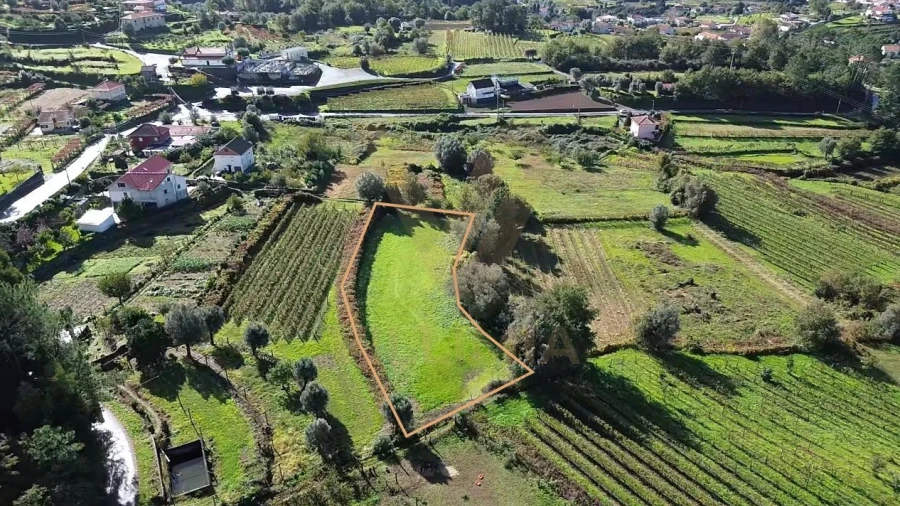 Terreno Agricola ou Rústico para Venda em Bárrio e Cepões