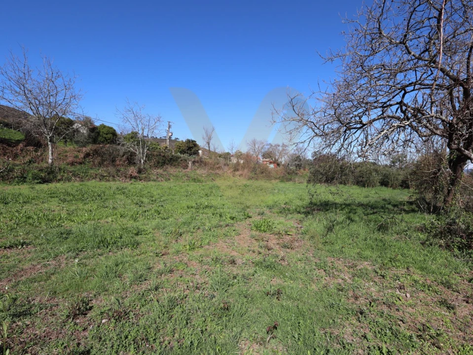 Terreno para Venda em Rebordões (Santa Maria) Foto 10