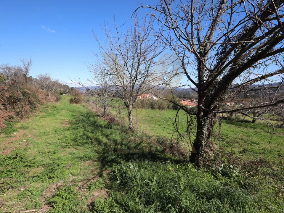 Terreno para Venda em Rebordões (Santa Maria) Foto 11