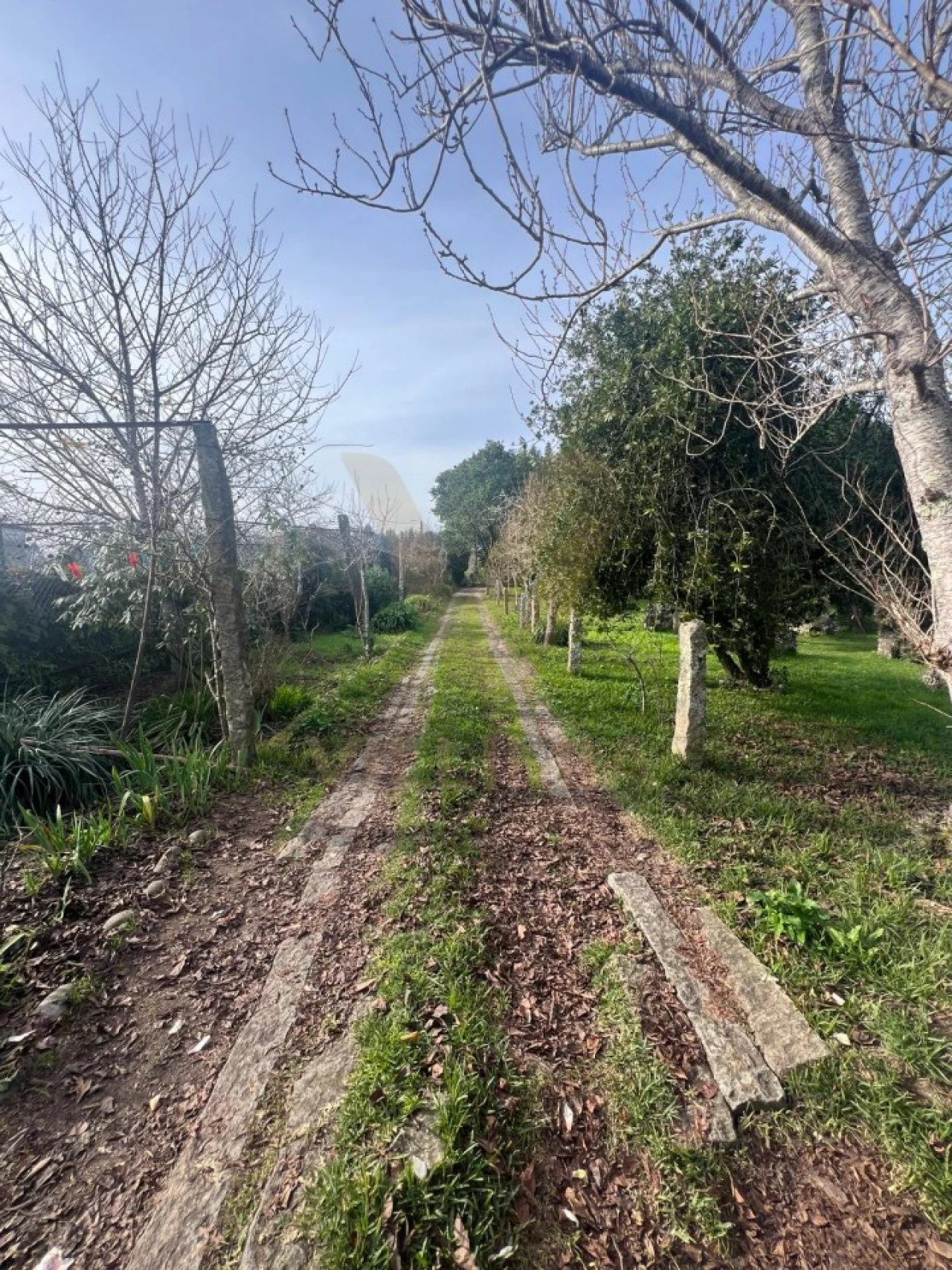 Quinta T5 para Venda em Santa Comba Foto 9