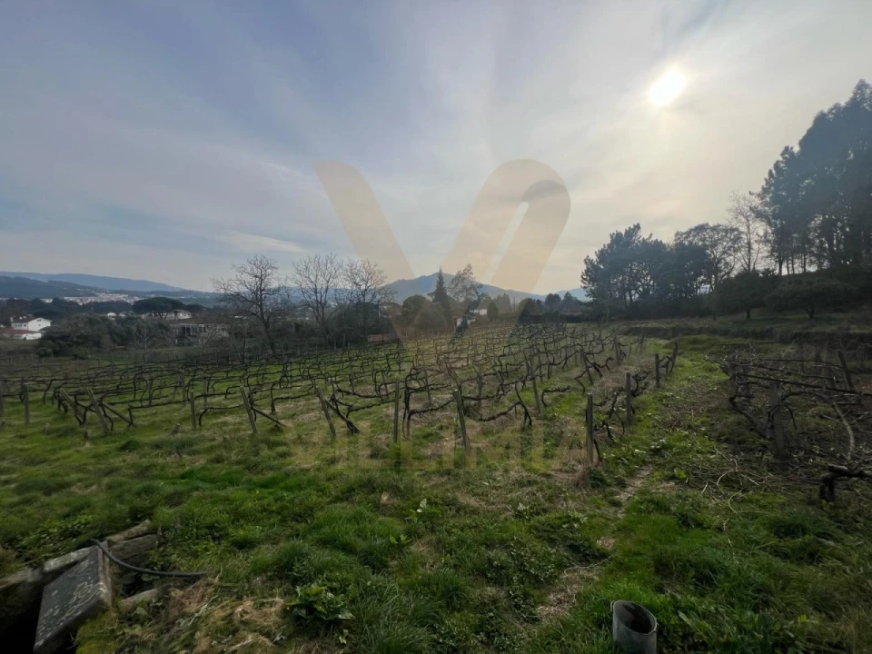 Quinta T5 para Venda em Santa Comba Foto 17