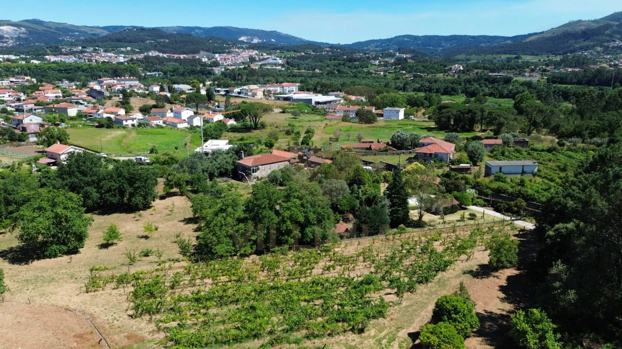 Quinta T5 para Venda em Santa Comba Foto 76
