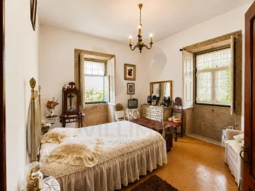 Quinta T5 para Venda em Santa Comba