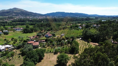 Quinta T5 para Venda em Santa Comba