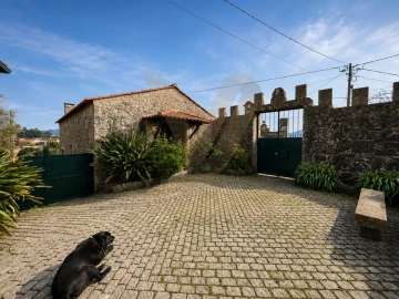 Quinta T5 para Venda em Santa Comba