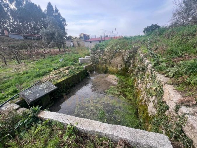 Quinta T5 para Venda em Santa Comba Foto 16