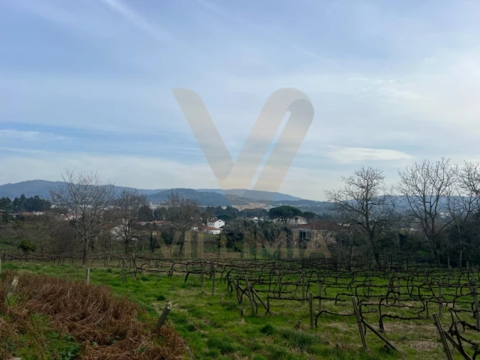 Quinta T5 para Venda em Santa Comba Foto 19