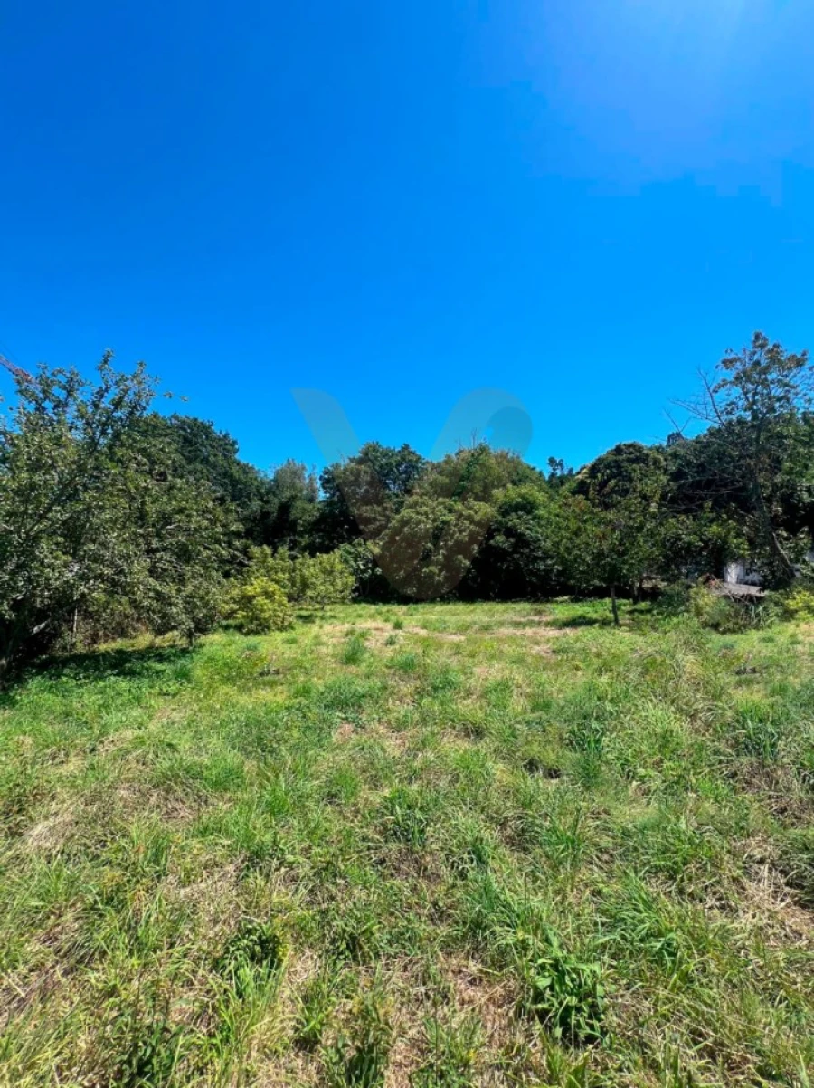 Terreno para Venda em Ribeira Foto 3