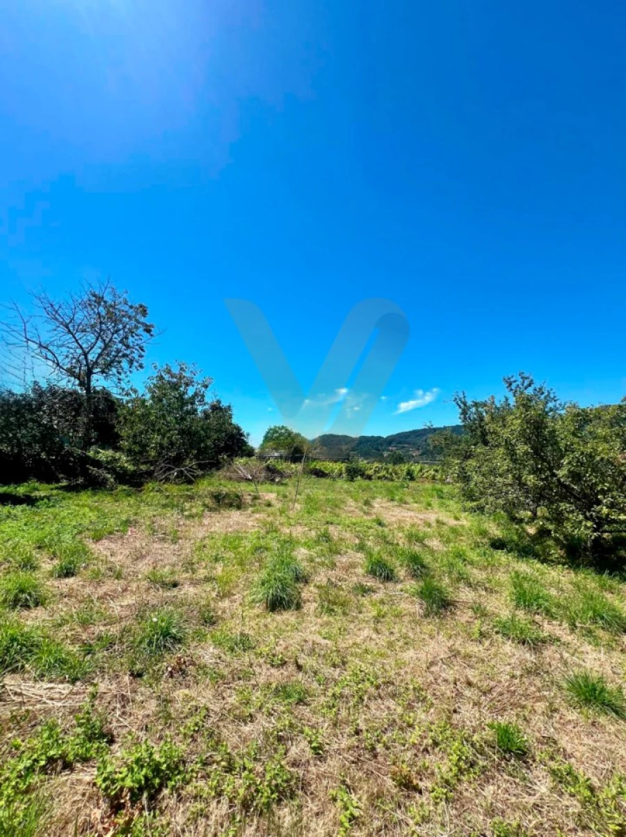 Terreno para Venda em Ribeira Foto 4