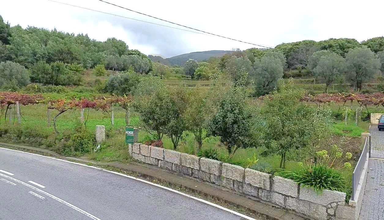 Terreno Agricola ou Rústico para Venda em Bárrio e Cepões Foto 1
