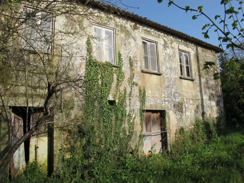 Quinta para Venda em Nogueira, Meixedo e Vilar de Murteda Foto 14