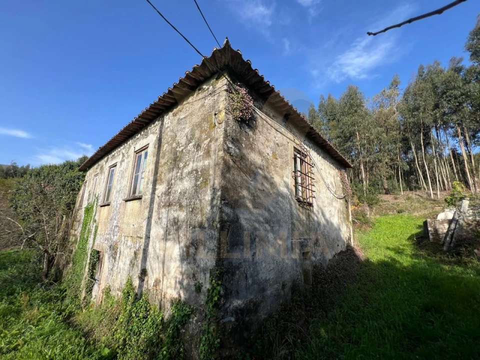 Quinta para Venda em Nogueira, Meixedo e Vilar de Murteda Foto 15