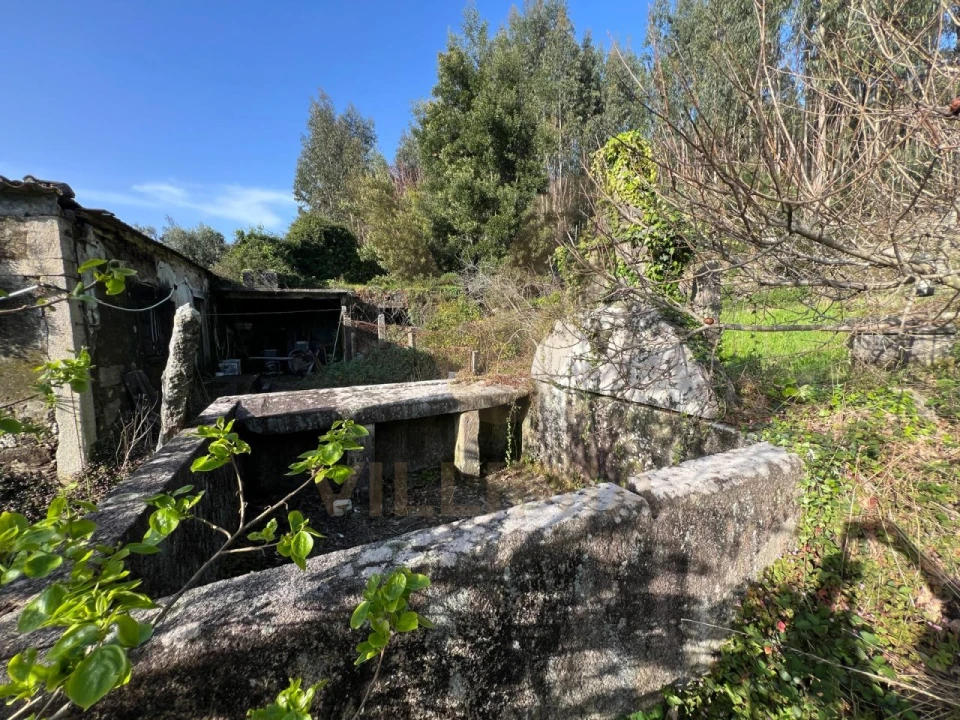 Quinta para Venda em Nogueira, Meixedo e Vilar de Murteda Foto 10