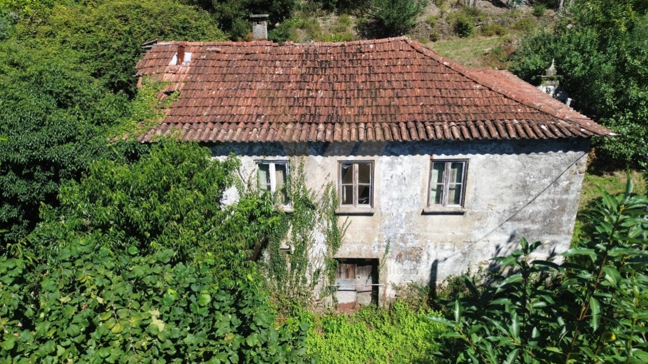 Quinta para Venda em Nogueira, Meixedo e Vilar de Murteda Foto 4