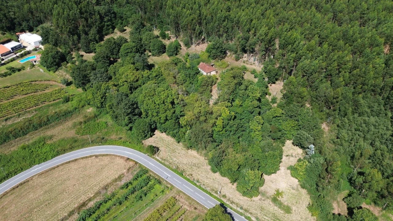 Quinta para Venda em Nogueira, Meixedo e Vilar de Murteda Foto 1