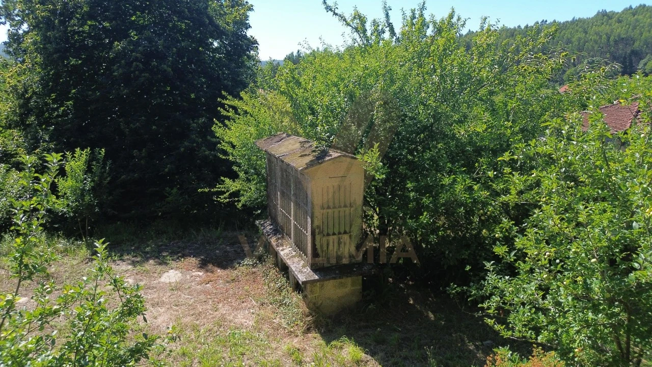 Quinta para Venda em Nogueira, Meixedo e Vilar de Murteda Foto 9