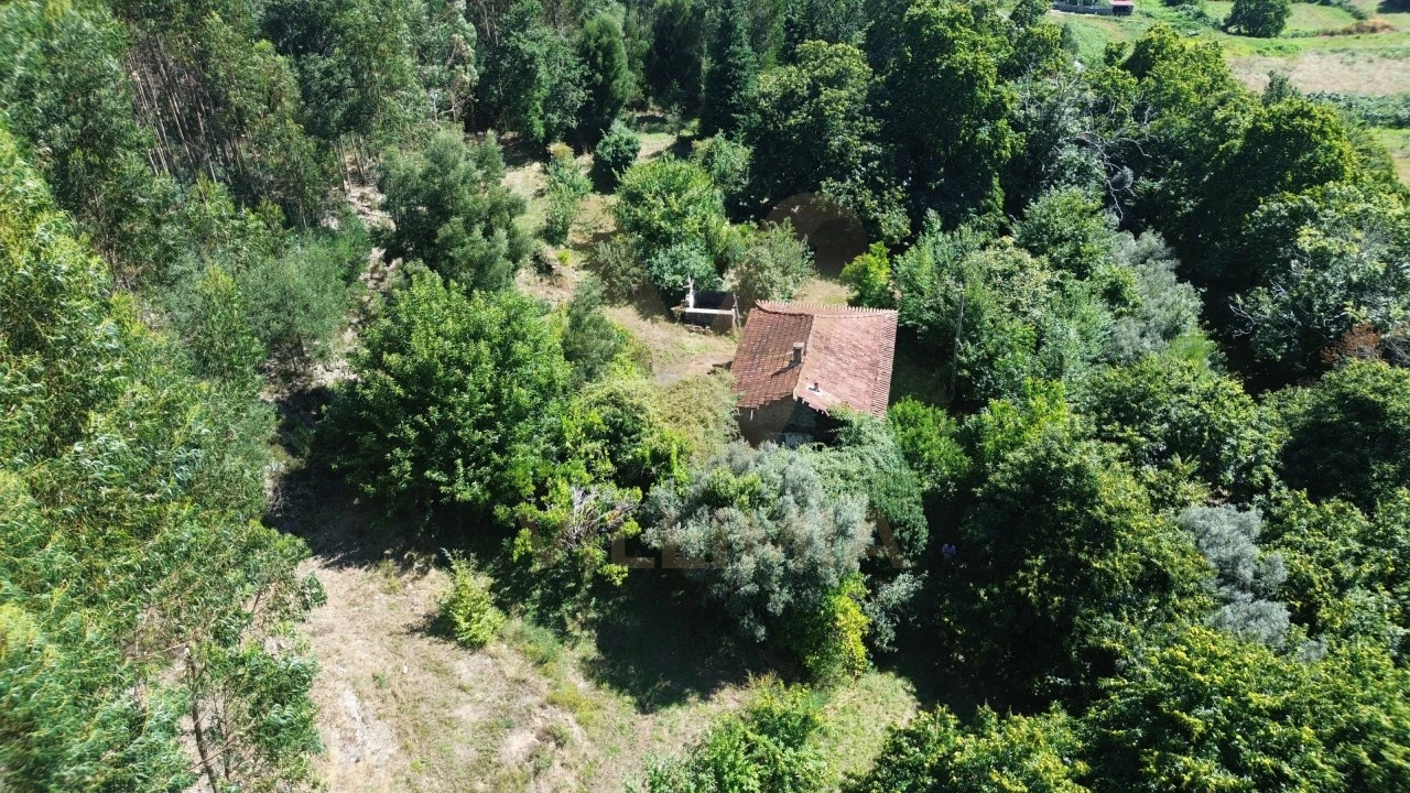 Quinta para Venda em Nogueira, Meixedo e Vilar de Murteda Foto 3