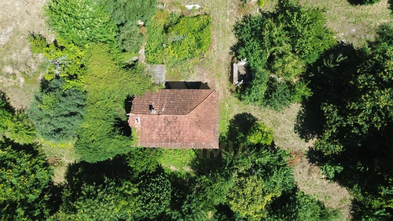 Quinta para Venda em Nogueira, Meixedo e Vilar de Murteda Foto 8