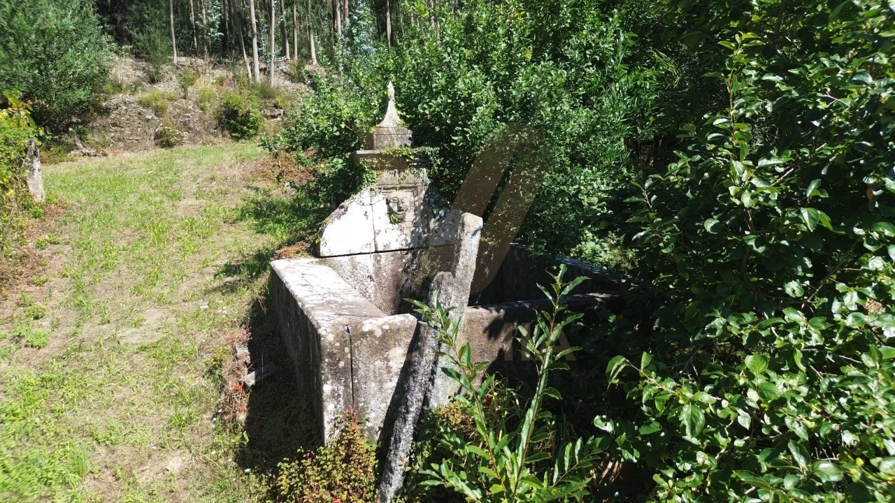 Quinta para Venda em Nogueira, Meixedo e Vilar de Murteda Foto 7