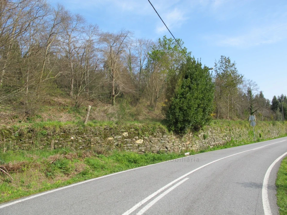 Quinta para Venda em Nogueira, Meixedo e Vilar de Murteda Foto 13