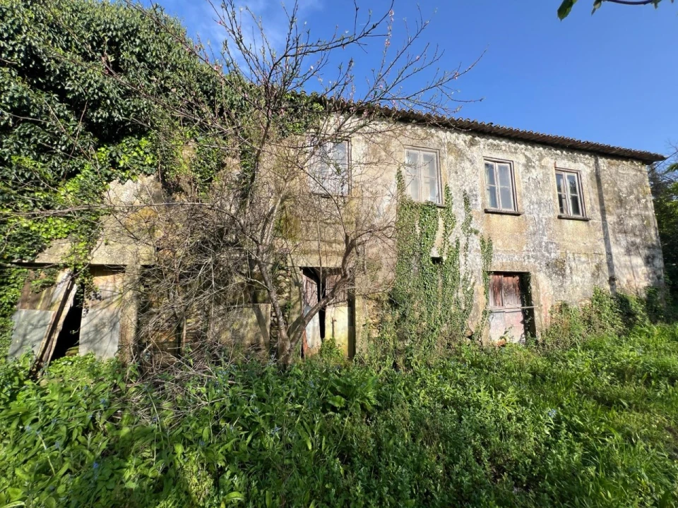 Quinta para Venda em Nogueira, Meixedo e Vilar de Murteda Foto 5