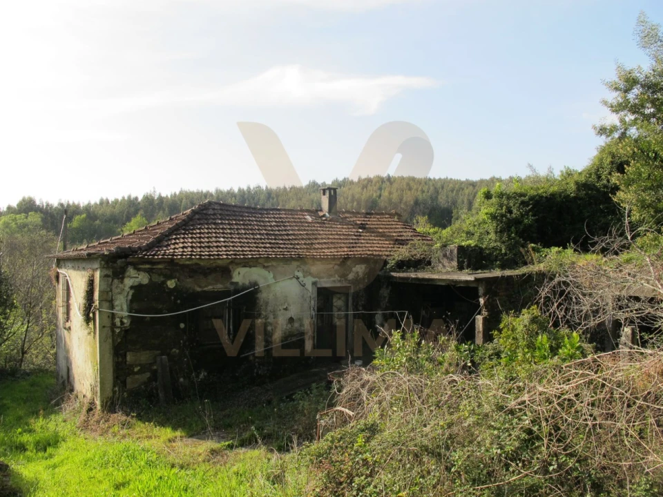 Quinta para Venda em Nogueira, Meixedo e Vilar de Murteda Foto 2