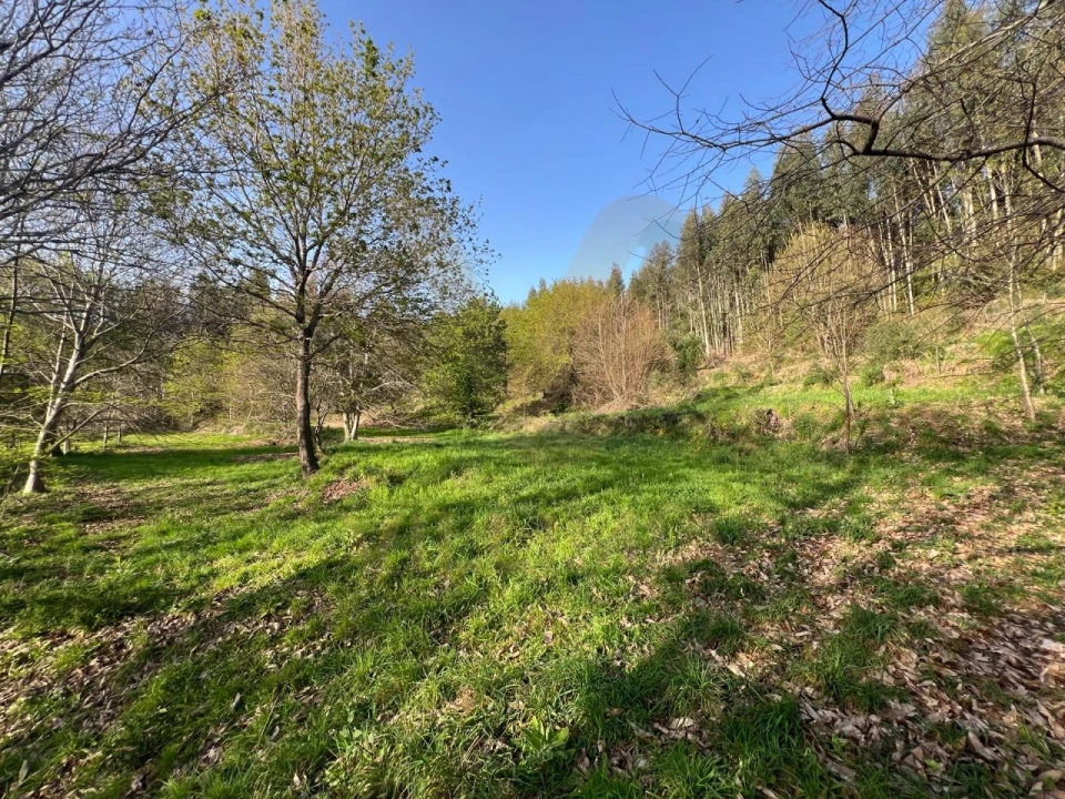 Quinta para Venda em Nogueira, Meixedo e Vilar de Murteda Foto 28