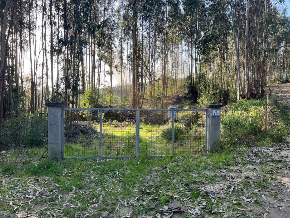Quinta para Venda em Nogueira, Meixedo e Vilar de Murteda Foto 29