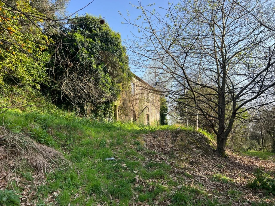Quinta para Venda em Nogueira, Meixedo e Vilar de Murteda Foto 30