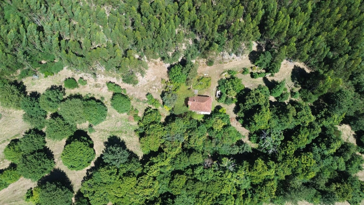 Quinta para Venda em Nogueira, Meixedo e Vilar de Murteda Foto 31